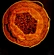 Advanced Microscope Camera